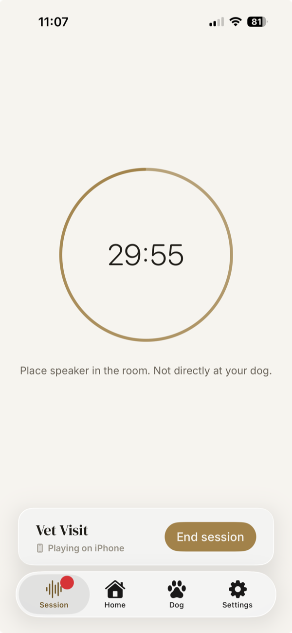 Pawse.ai playing screen showing ring timer and End Session button